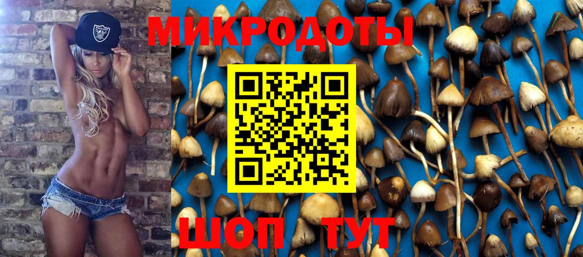 Галлюциногенные грибы ЛСД Черняховск